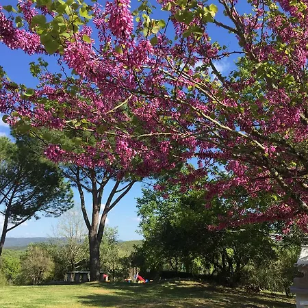 Campo Di Carlo Country house