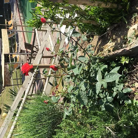 Country house Campo Di Carlo *