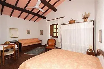 Campo Di Carlo *